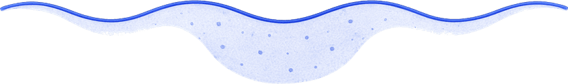 Section Divider