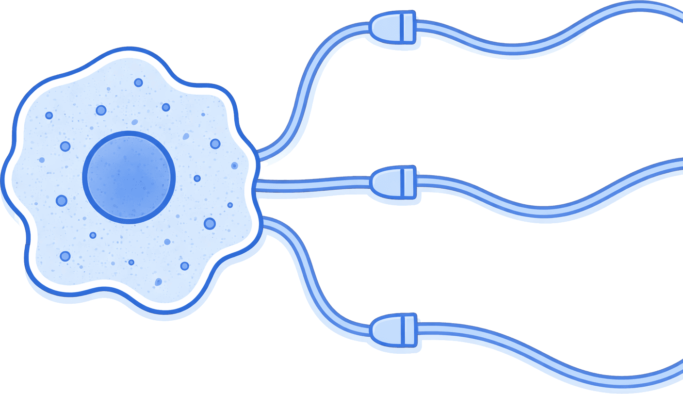 Integrations Artwork