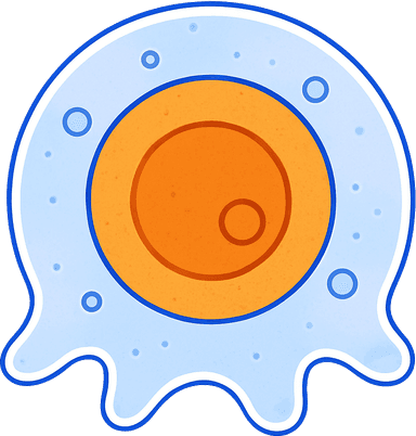 Membrane Orange Nucleus Graphic