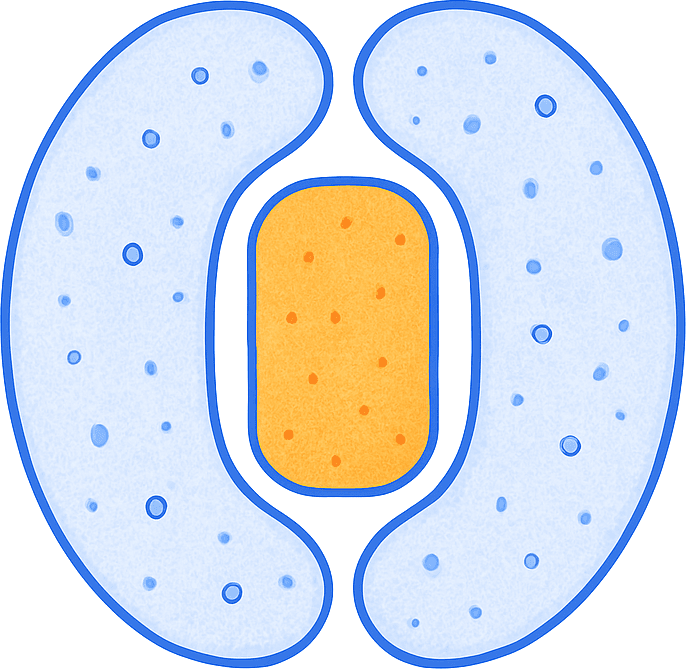 SiteWall Shield Illustration