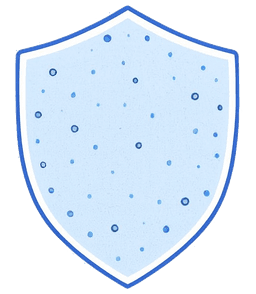 Ilustration of a shield