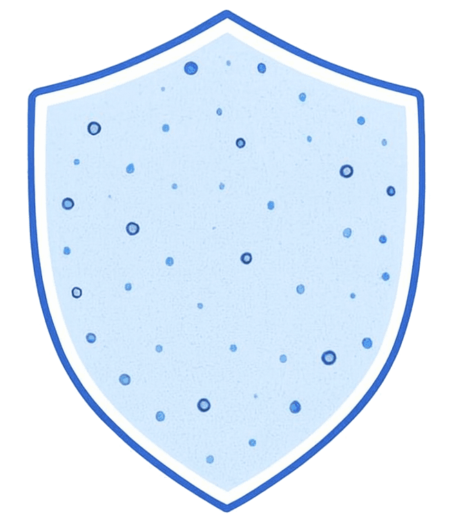 Ilustration of a shield