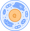 Enterprise Plan Icon