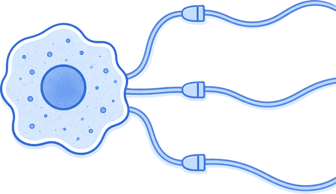 Integrations Artwork