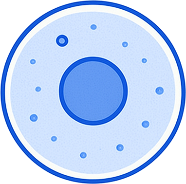 CellWall