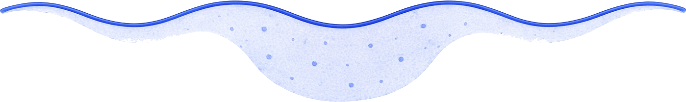 Section Divider